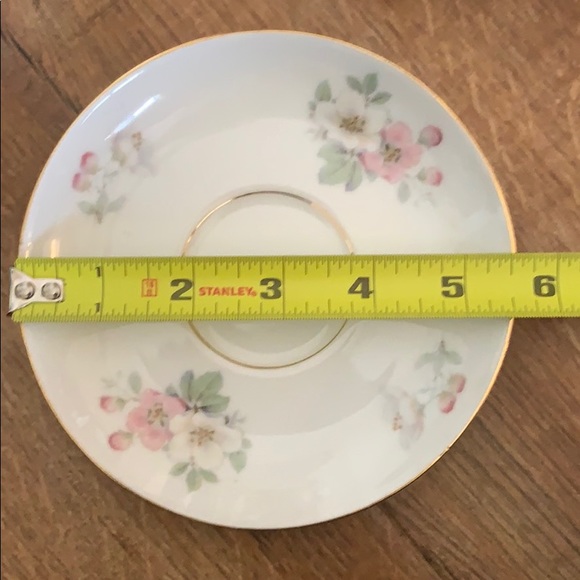 Tirschenreuth Apple Blossom Saucer - Picture 4 of 5